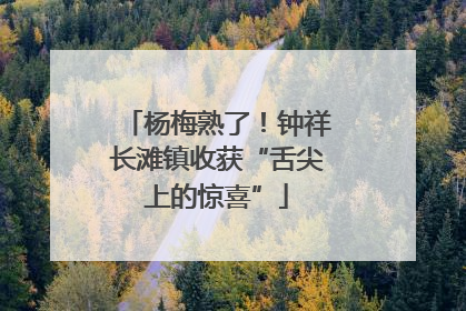 杨梅熟了！钟祥长滩镇收获“舌尖上的惊喜”