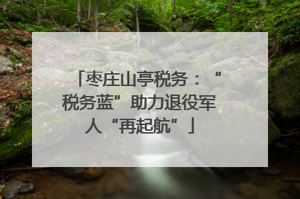 枣庄山亭税务：“税务蓝”助力退役军人“再起航”