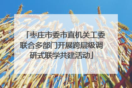 枣庄市委市直机关工委联合多部门开展跨层级调研式联学共建活动