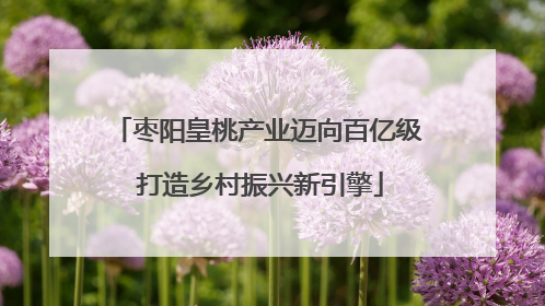 枣阳皇桃产业迈向百亿级 打造乡村振兴新引擎