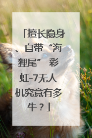擅长隐身、自带“海狸尾” 彩虹-7无人机究竟有多牛？