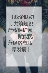 政企联动，共筑知识产权保护网——赋能民营经济高质量发展
