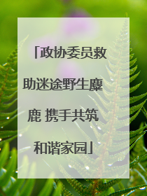政协委员救助迷途野生麋鹿 携手共筑和谐家园