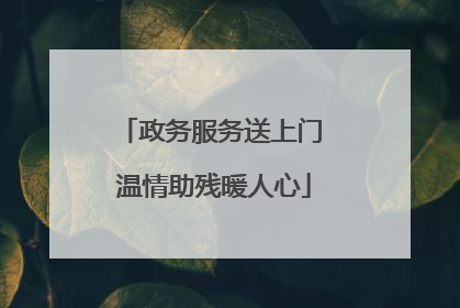 政务服务送上门 温情助残暖人心
