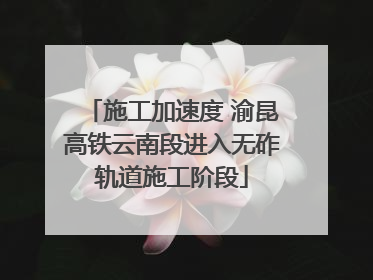 施工加速度 渝昆高铁云南段进入无砟轨道施工阶段