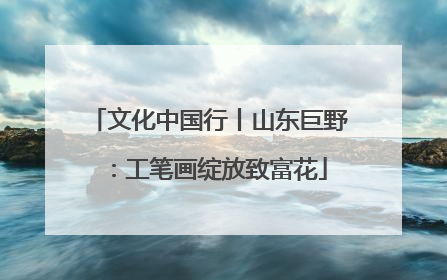 文化中国行丨山东巨野：工笔画绽放致富花