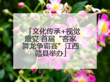 文化传承+视觉盛宴 首届“客家舞龙争霸赛”江西赣县举办