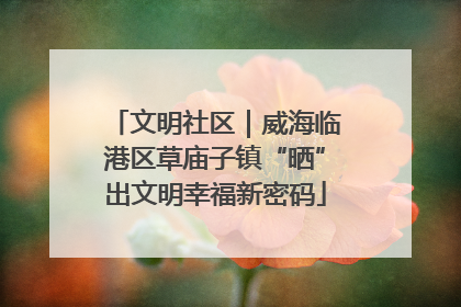 文明社区｜威海临港区草庙子镇“晒”出文明幸福新密码