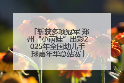 斩获多项冠军 郑州“小萌娃”出彩2025年全国幼儿手球嘉年华总站赛