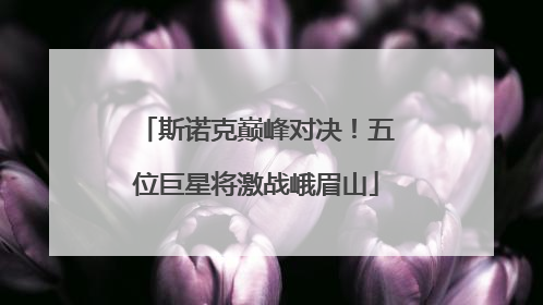 斯诺克巅峰对决！五位巨星将激战峨眉山