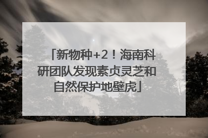 新物种+2！海南科研团队发现素贞灵芝和自然保护地壁虎