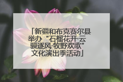 新疆和布克赛尔县举办“石榴花开·云骥逐风·牧野欢歌”文化演出季活动