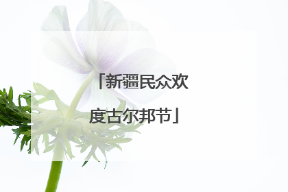 新疆民众欢度古尔邦节