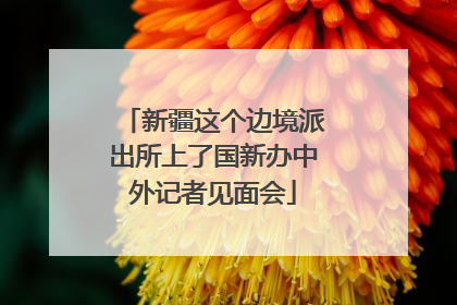 新疆这个边境派出所上了国新办中外记者见面会