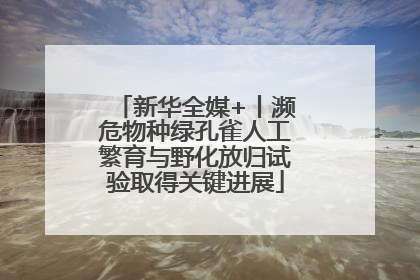 新华全媒+丨濒危物种绿孔雀人工繁育与野化放归试验取得关键进展