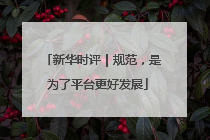 新华时评｜规范，是为了平台更好发展