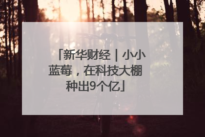新华财经｜小小蓝莓，在科技大棚种出9个亿