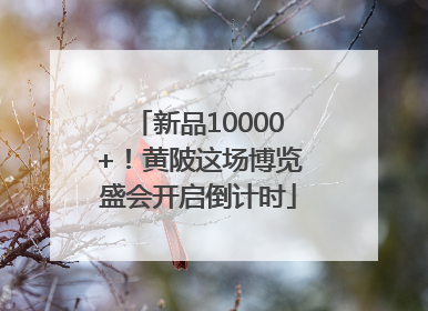 新品10000+！黄陂这场博览盛会开启倒计时
