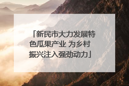 新民市大力发展特色瓜果产业 为乡村振兴注入强劲动力
