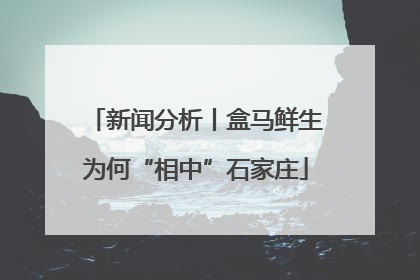 新闻分析丨盒马鲜生为何“相中”石家庄