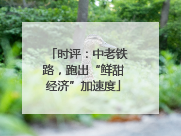 时评：中老铁路，跑出“鲜甜经济”加速度