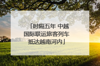 时隔五年 中越国际联运旅客列车抵达越南河内
