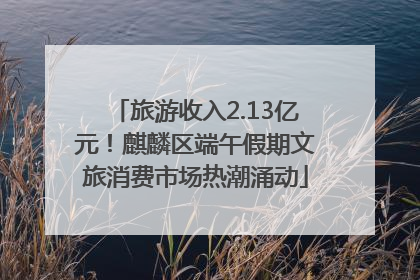 旅游收入2.13亿元！麒麟区端午假期文旅消费市场热潮涌动