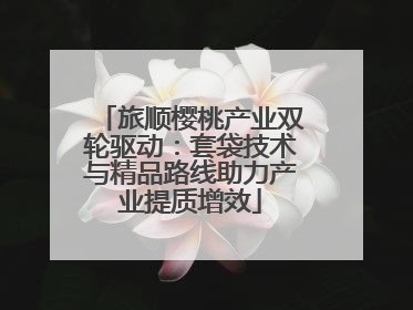 旅顺樱桃产业双轮驱动：套袋技术与精品路线助力产业提质增效