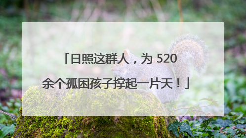 日照这群人，为 520 余个孤困孩子撑起一片天！