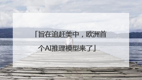 旨在追赶美中，欧洲首个AI推理模型来了
