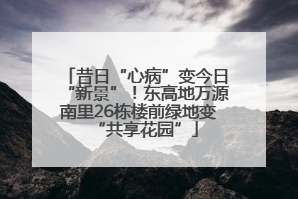 昔日“心病”变今日“新景”！东高地万源南里26栋楼前绿地变“共享花园”