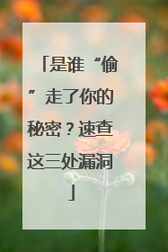 是谁“偷”走了你的秘密？速查这三处漏洞