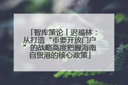 智库策论丨迟福林：从打造“重要开放门户”的战略高度把握海南自贸港的核心政策