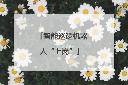 智能巡逻机器人“上岗”
