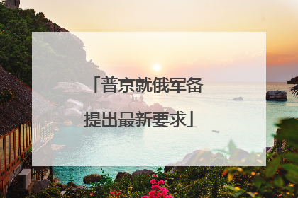 普京就俄军备提出最新要求