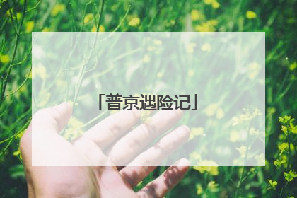 普京遇险记