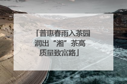普惠春雨入茶园 润出“湘”茶高质量致富路