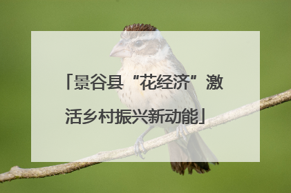 景谷县“花经济”激活乡村振兴新动能