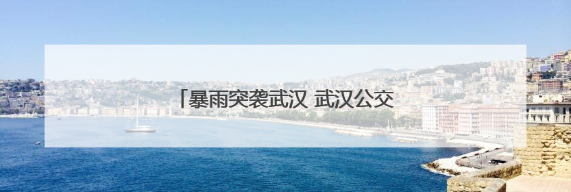暴雨突袭武汉 武汉公交启动恶劣天气应急预案