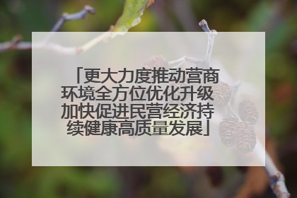更大力度推动营商环境全方位优化升级加快促进民营经济持续健康高质量发展