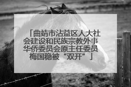 曲靖市沾益区人大社会建设和民族宗教外事华侨委员会原主任委员梅国稳被“双开”