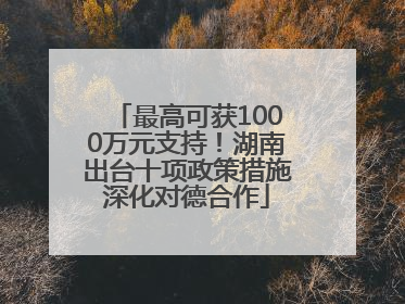 最高可获1000万元支持！湖南出台十项政策措施深化对德合作