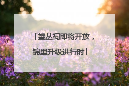 望丛祠即将开放，锦里升级进行时
