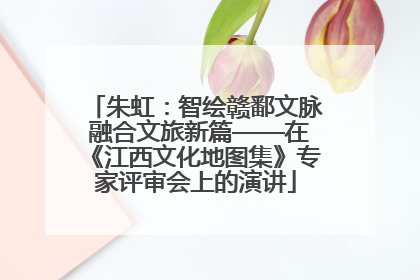 朱虹：智绘赣鄱文脉 融合文旅新篇——在《江西文化地图集》专家评审会上的演讲