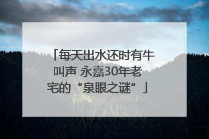 每天出水还时有牛叫声 永嘉30年老宅的“泉眼之谜”