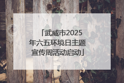 武威市2025年六五环境日主题宣传周活动启动