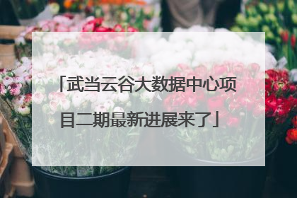 武当云谷大数据中心项目二期最新进展来了