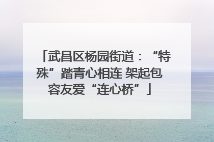 武昌区杨园街道：“特殊”踏青心相连 架起包容友爱“连心桥”