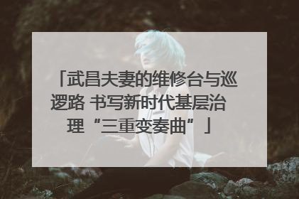 武昌夫妻的维修台与巡逻路 书写新时代基层治理“三重变奏曲”
