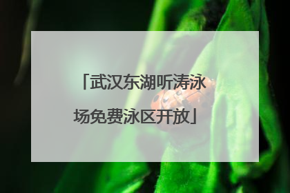 武汉东湖听涛泳场免费泳区开放